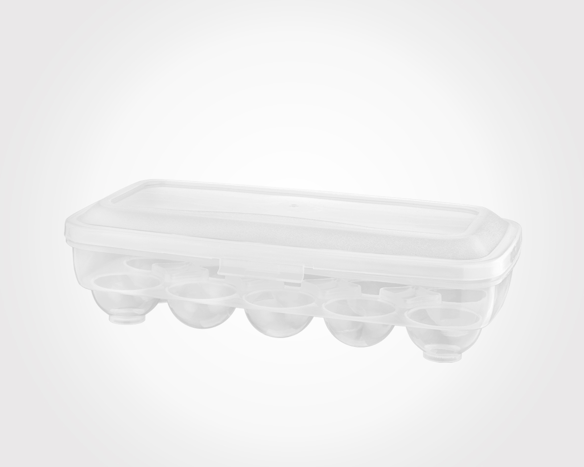 EGG CONTAINER 10PCS