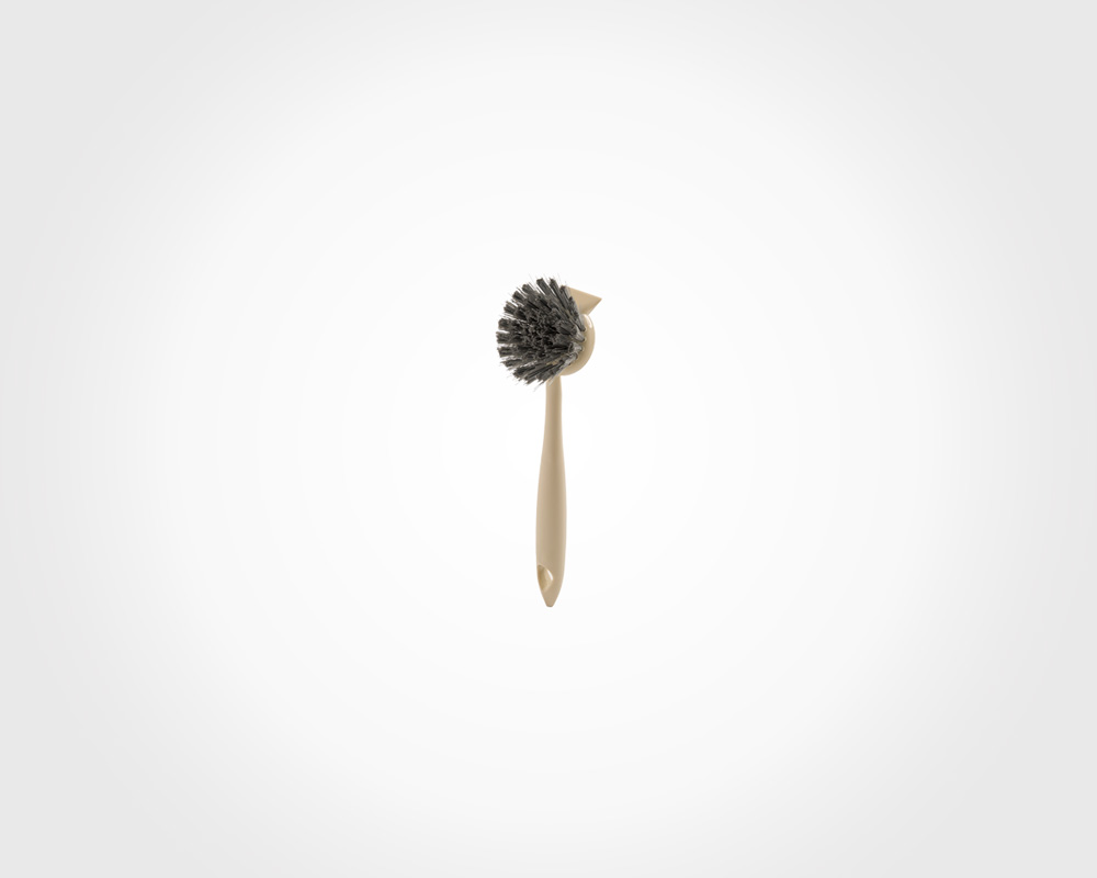 Cleaning brush